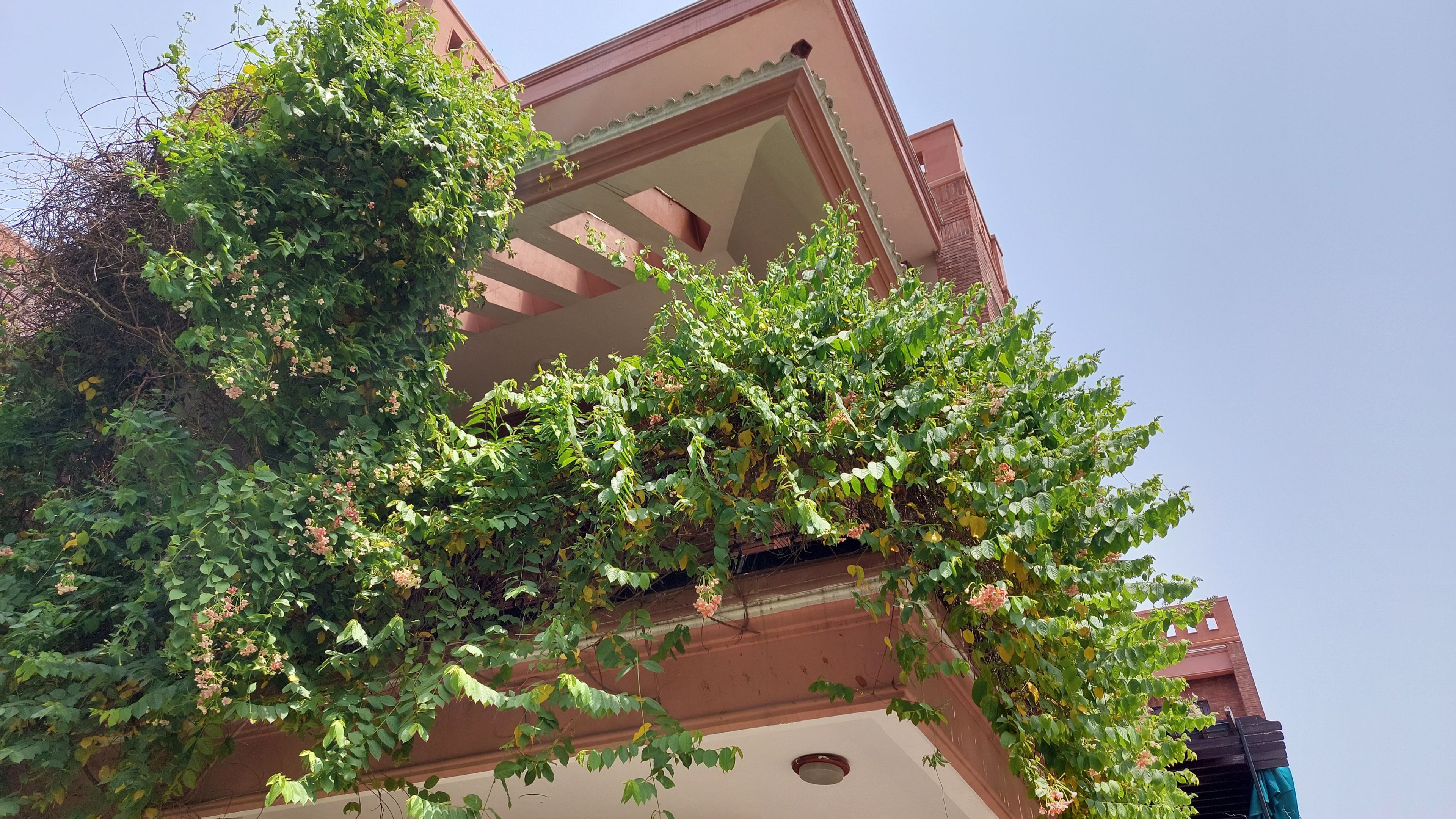 Educational Architecture